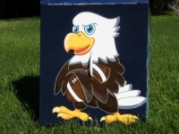 Eagle Football