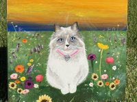 Kitty in Meadow